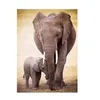 Image de EurographicsPuzzles - Elephant and Baby - puzzle - 1000 pièces