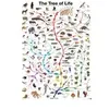 Image de EurographicsPuzzles - L'arbre de la vie - puzzle - 1000 pièces
