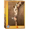 Image de Eurographics Girafe muTerkuss (1000 pièces)