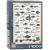 Image de EurographicsPuzzles - Poissons de mer - puzzle - 1000 pièces