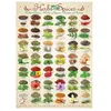 Image de Puzzle Eurographics - Herbes et épices, 1000 pièces