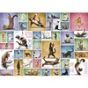 Image de Puzzle 1000 pièces : Le yoga des chats