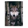 Image de EurographicsPuzzles - Loup gris - puzzle - 1000 pièces