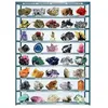 Image de Puzzle Eurographics - Minéraux du monde, 1000 pièces