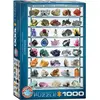 Image de Eurographics Minéraux (1000 pièces)