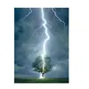 Image de EurographicsPuzzles - Lightning Striking Tree I - puzzle - 1000 pièces