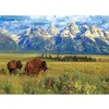 Image de Puzzle 1000 pièces : Parc National de Grand Teton Eurographics