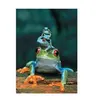 Image de EurographicsPuzzles - Red-Eyed Tree Frog, Mother and Babies on Top of Each Other - puzzle - 1000 pièces