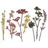 Image de Sizzix matrice de découpe thinlits set 7 pieces - fleurs sauvages siz661190