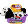 Image de Moose Mein Real Puppy Kleine Pepper 21 Cm (16 cm)