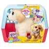 Image de Peluche interactive Little Live Pets Mon chien Ouchies