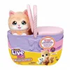 Image de Peluche interactive Little Live Pets Mama Surprise Chat