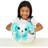 Image de Moose Scruff-A-Luvs Pet pack individuel (19 cm)
