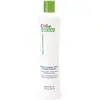 Image de Farouk Systems, Après-shampoing, Chi Enviro Smooth Treatment Color/Chemically Treated Hair 355ml (355 ml)