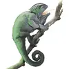 Image de Folkmanis Caméléon