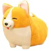 Image de Animal en peluche corgi à pattes courtes 28cm 01 - Multicolore