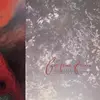 Image de Tiny dynamine / echoes in a shallow bay