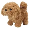 Image de Peluche Chien Teddy Électrique En marchant 18cm