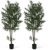 Image de CostwayLot de 2 Plantes Artificielles en Pot Hauteur 180CM Olivier Artificiel avec Fruits et Mousses R ©alistes Base Stable 2 Troncs Robuste en PE