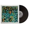 Image de Will Butler + Sister Squares Vinyle album