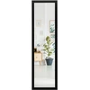 Image de CostwayMiroir 2 en 1 Suspension Mural + Porte 119 x 33 cm avec Crochets de Porte et Vis Noir