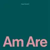 Image de Am Are Vinyle album