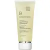 Image de DR DENNIS GROSS Alpha Beta - Gel Nettoyant Quotidien au Complexe AHA/BHA