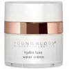 Image de YoungBlood Hydra Luxe Water Crème Crème visage 1000 ml