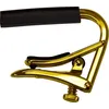 Image de Shubb Gold Acoust/elec Capodastres