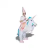 Image de Costume de magicien à dos de licorne gonflable déguisement