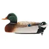 Image de Bateau radio commandé Flytec V201 RC Boat 2.4Ghz Chasse Motion Boat 2 Motor - vert