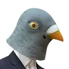 Image de Masque pigeon en latex