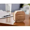 Image de Lampe Accordeon Gingko Noye