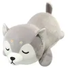 Image de Anime Husky en peluche doux oreiller poupée Cartoon Doggo mignon Husky Peluche_kosenewe63