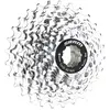 Image de Sram, Cassette vélo, (10-vitesse, 12-28)