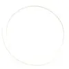 Image de Zipp Roulements Freehub Shim 17x0.50 Mm One Size