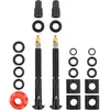 Image de Quarq Soupapes Tyrewiz 2.0 A 1-8.2 Mm One Size