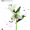 Image de Hidden City - édition limitée colorée