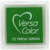 Image de Tsukineko, Tampon encreur, Tampon encreur VersaColor 3x3cm Fresh green