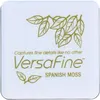 Image de Mini Encreur - Motifs détaillés - Aquarelle - Mousse Espagnole - VersaFine - Tsukineko