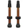 Image de Wtb Soupapes Tcs Aluminium 34 mm