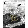 Image de The Black Stallion Blu-ray