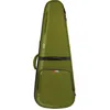 Image de Gator G-Icon Guitare Acoustique Type Dreadnought Vert Pour guitare folk