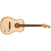 Image de Fender Guitare acoustique-électrique western « Highway Series Dreadnought RW Natural » avec housse de (Guitare acoustique, Acajou, Palissandre, Sitka Spruce), Guitare, Marron