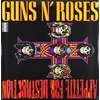 Image de Appetite For Destruction [Vinyl LP] en occasion ou reconditionné