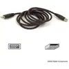 Image de Belkin USB Extension Cable Câble USB (1.80 m, USB 2.0), Câble USB