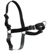 Image de PetSafe Marche facile (S, Chien, Promenade), Collier + laisse