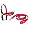 Image de Harnais s rouge