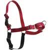Image de PetSafe Harnais Easy Walk (S, Chien), Collier + laisse