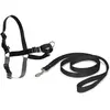 Image de PetSafe Easy Walk (M, Chien, Promenade), Collier + laisse